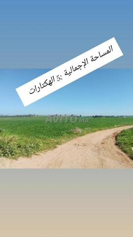 Terrain à vendre - 2