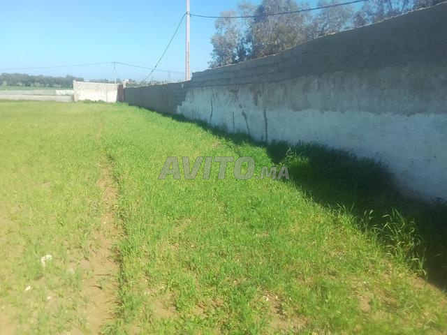 La zone de l'Amira - 2