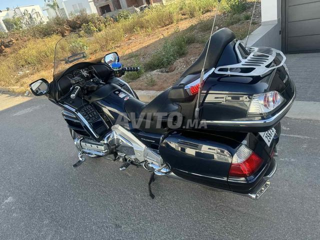 جولدوينج www maroc - 2