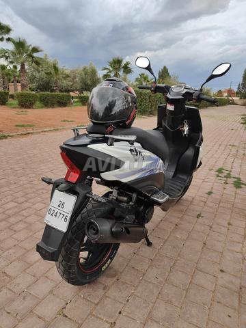 جابيلي جريدو إيطالي - 2