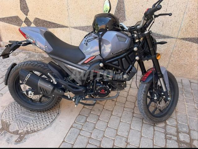 سيماتي مونستر - 2