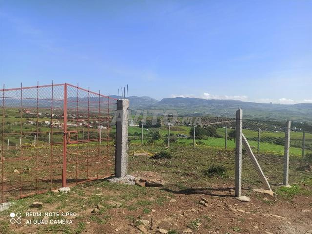 Terrain enregistré à vendre, commune Souk El Khemis - 2