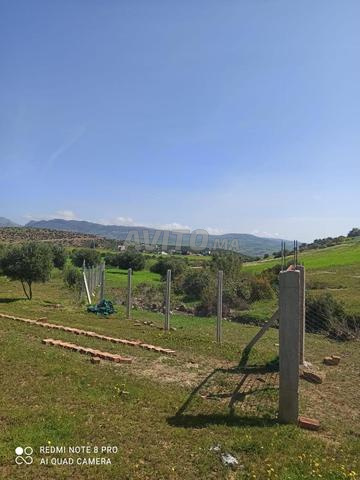 أرض محفظة للبيع نواحي تطوان سوق القديم - 2