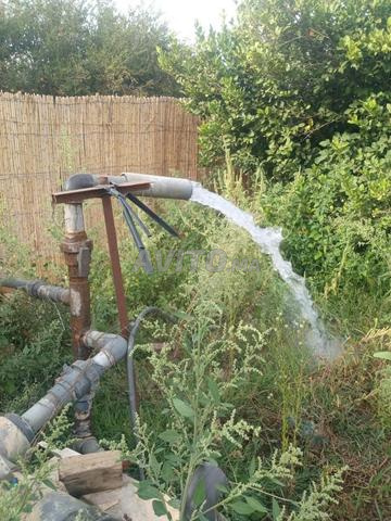 Vend ferme 5 hectares à Laâyoune Si Malouk - 2