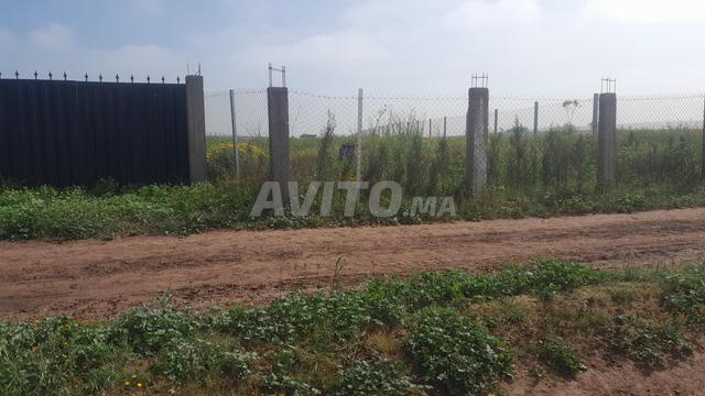 مزرعة للبيع - 2