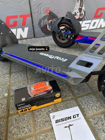 Trotinette Électrique Bison 1000w - 2