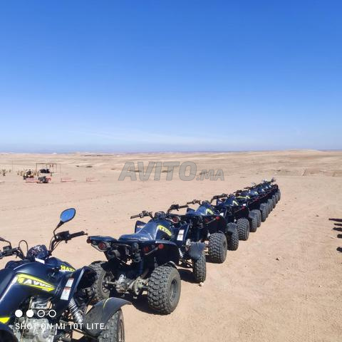 كوادز كيمكو 300 ماكسر - 2