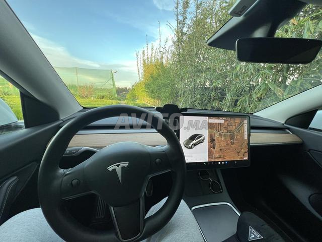 تسلا موديل Y كهربائية أوتوماتيكية 2025 في الرباط