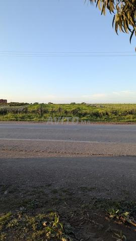 1.8 ha titré à 1min du centre ville benslimane