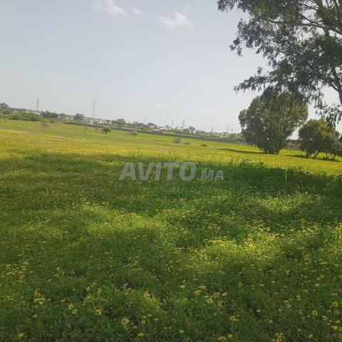 Terrain à vendre - 2