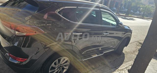 Fes Narcisse Hay - 2