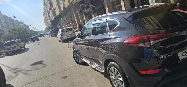 فاس نرجيس حي
