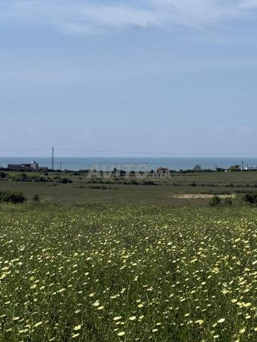 Hectare titré vue panoramique sur mer - 2