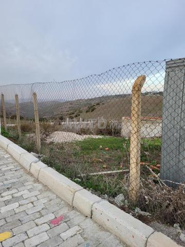 Terrain titré constructible et projet 3 façades - 2