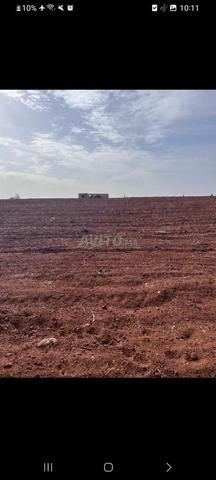 Terrain agricole - 2