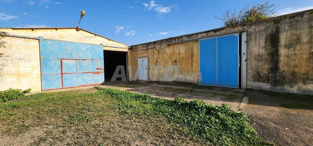 Terrain industriel - 2