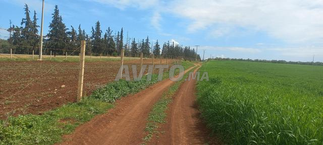 1 hectare et demi à Ait Yaazam - 2