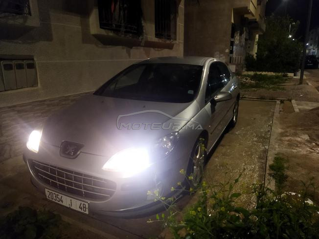 Peugeot 407, tout options 