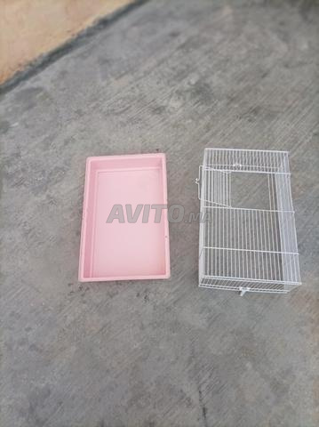 Cage hamster rongeur cage à rongeurs hamster - 2