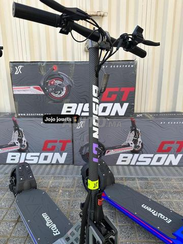 تروتينيت كهربائي BISON GT 1000W - 2
