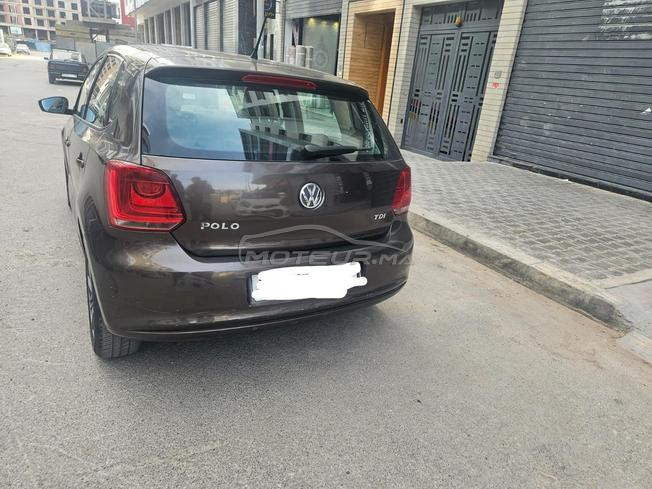polo 1 er main  