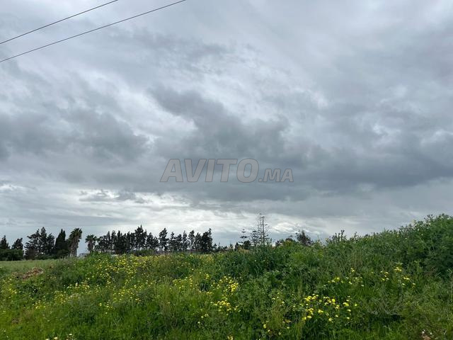 Terrain à vendre à Azemmour - 2