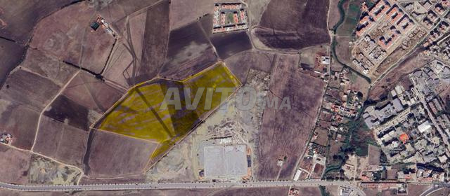 Terrain agricole enregistré 10 hectares zone villas Ashkar - 2