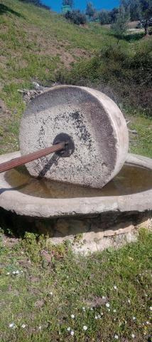 معصرة زيتون تقليدية - 2