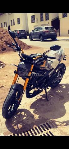 Cimati Monster Evo 4 - 2