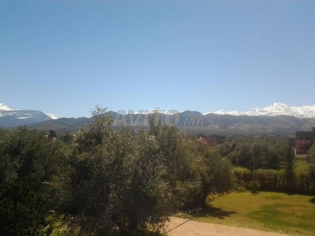 Terrain 1000m2 vente chez le notaire - 2