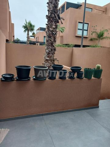 مجموعة من 10 أواني زهور - 2