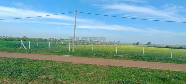 Terrain agricole proche du périmètre urbain - 2