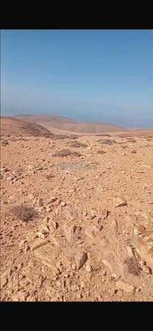 Terrain à vendre près de Guelmim - 2