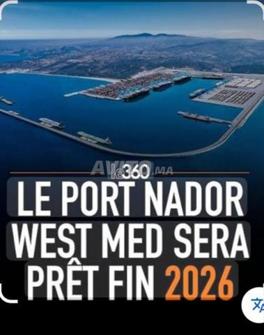 A vendre terrain titré de 5000m2 à iaazanene