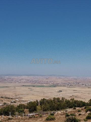 Terrain à vendre Tanger, Lagouarez - 2
