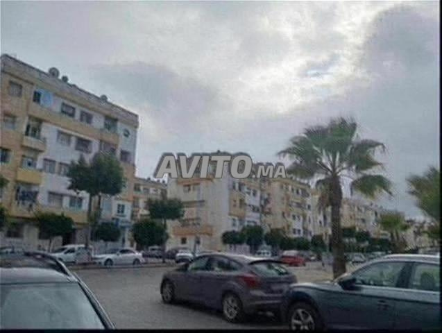 Plusieurs appartements vides pour couple et en location - 2