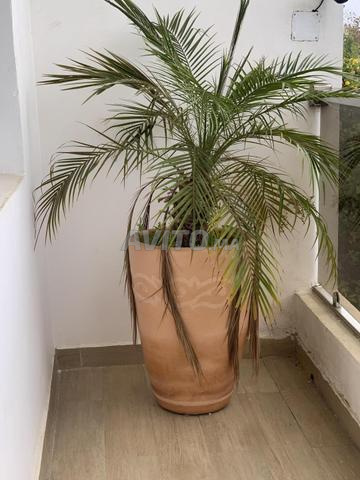 مزهرية نباتات - 2