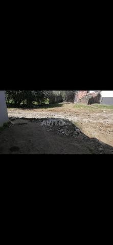 El Aouama, côté Gwart - 2