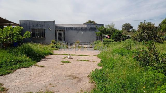 Terrain agricole avec maison à vendre El Menzeh - 2