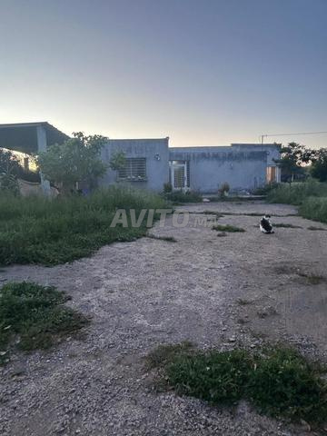 Terrain agricole avec maison à vendre El Menzeh