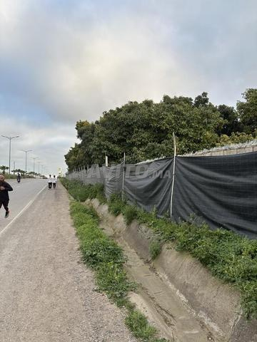 Terrain 25000m carré - 2