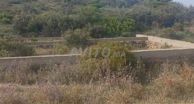 terrain à vendre tanger - Feddane Said - 2