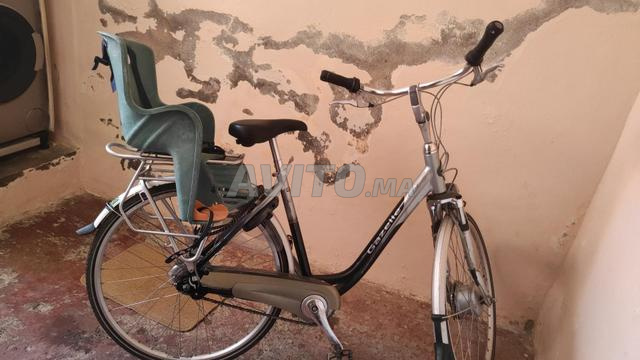 غزال أورانج - 2