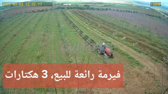 Superbe ferme agricole de 3.17 hectares - 2