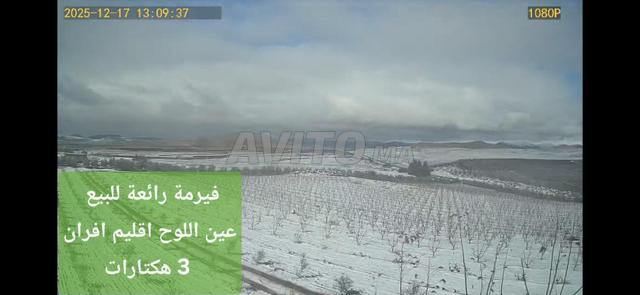 Superbe ferme agricole de 3.17 hectares