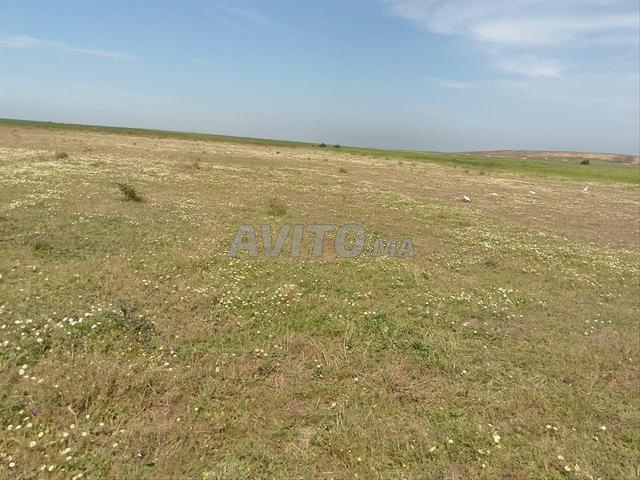Terrain irrigué à vendre pour l'investissement agricole - 2