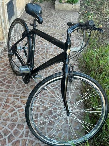 HAWTA PICALA USB 🇺🇸 - 2