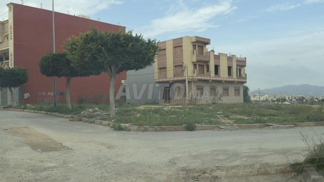 Terrine à vendre - 2