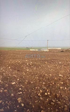 Terrain à vendre - 2