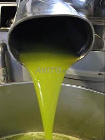 زيت زيتون إيكيليبر équilibre الأصل من بني ملال